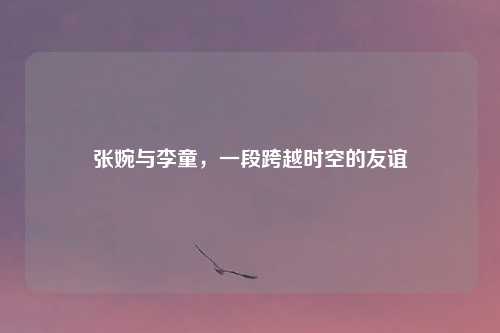 张婉与李童，一段跨越时空的友谊