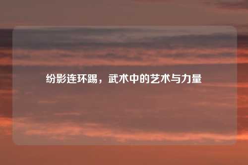 纷影连环踢，武术中的艺术与力量