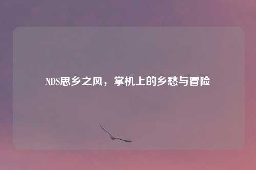 NDS思乡之风，掌机上的乡愁与冒险