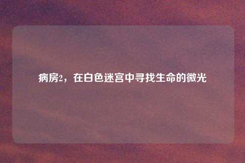 病房2,在白色迷宫中寻找生命的微光