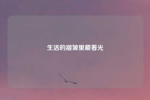 生活的褶皱里藏着光