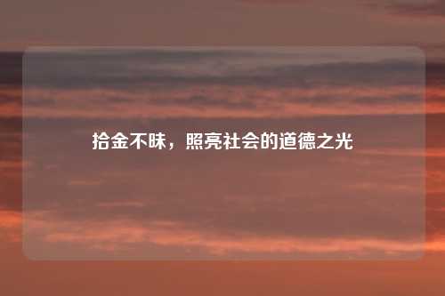 拾金不昧，照亮社会的道德之光