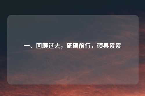 一、回顾过去,砥砺前行,硕果累累