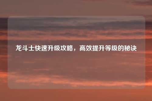 龙斗士快速升级攻略，高效提升等级的秘诀
