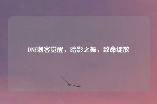 DNF刺客觉醒，暗影之舞，致命绽放