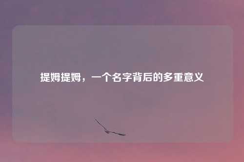提姆提姆,一个名字背后的多重意义
