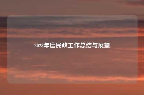 2023年度民政工作总结与展望