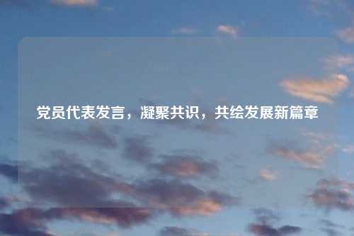 党员代表发言，凝聚共识，共绘发展新篇章