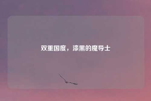 双重国度，漆黑的魔导士