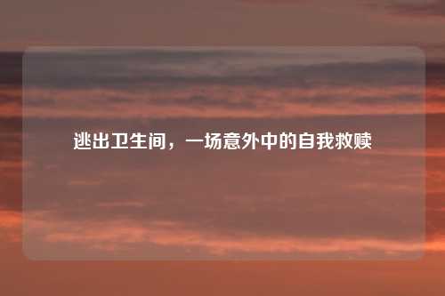 逃出卫生间，一场意外中的自我救赎