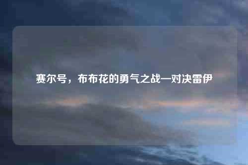 赛尔号，布布花的勇气之战—对决雷伊